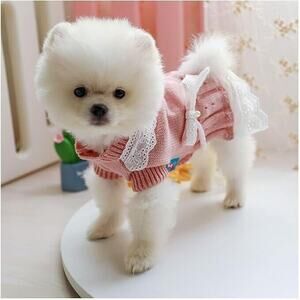 Puppy Dog Sweater Dress Medium Pink White Bow Lace Boho Pearl Eyelet Coquette